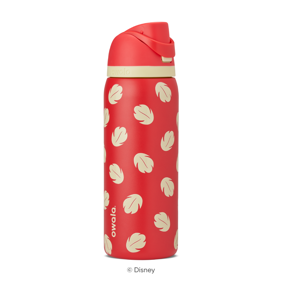 Sugar  Skull