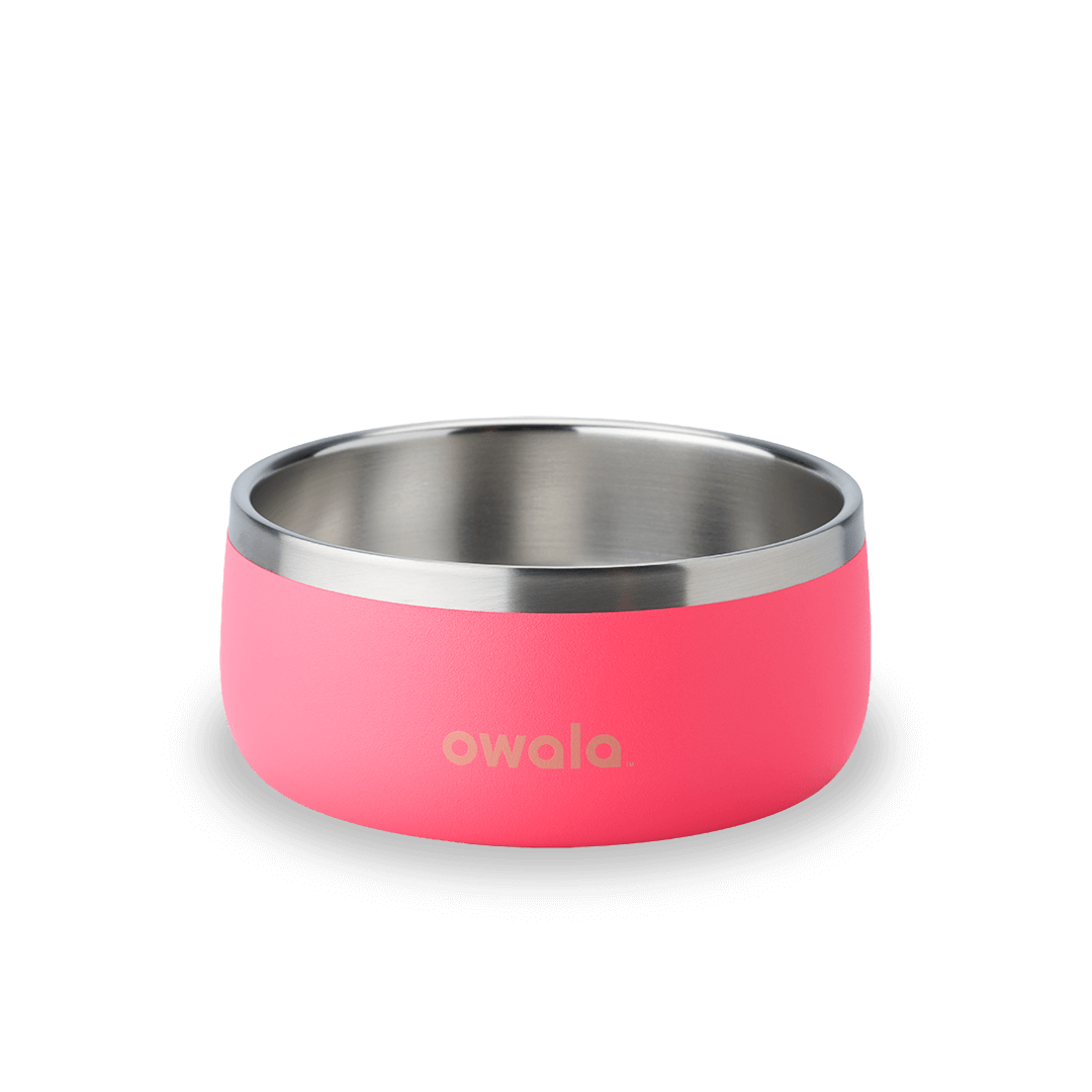Pet  Bowl