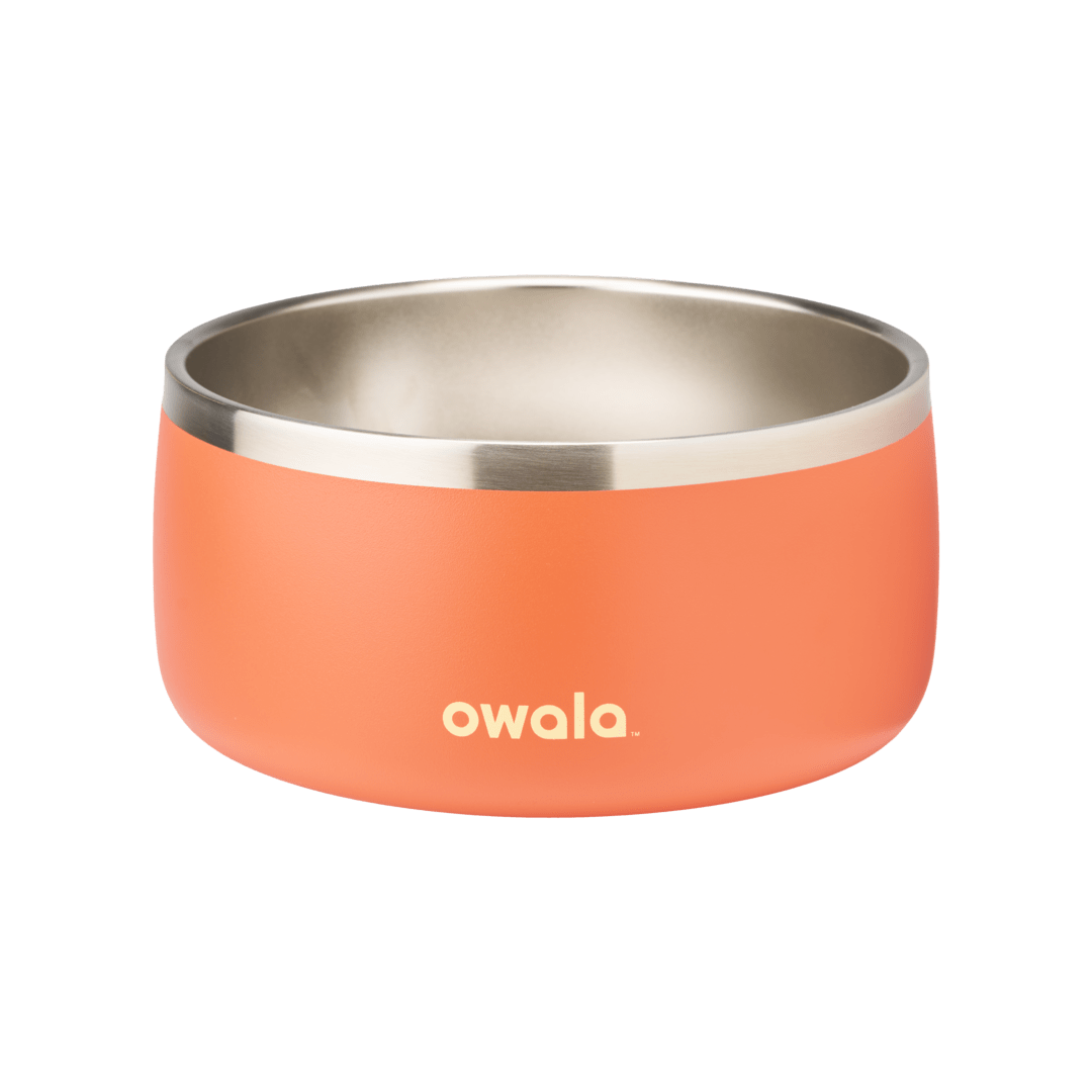 Pet  Bowl