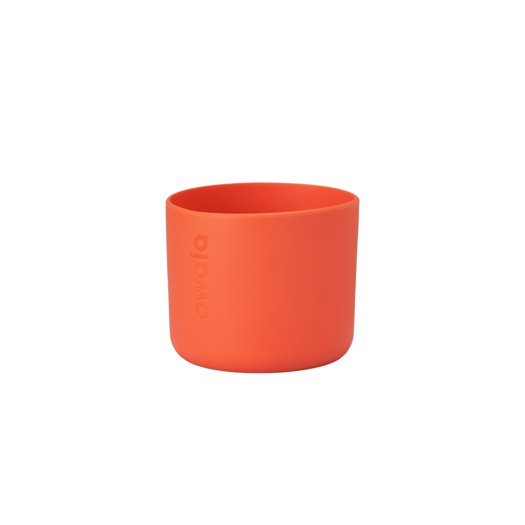 Pet  Bowl