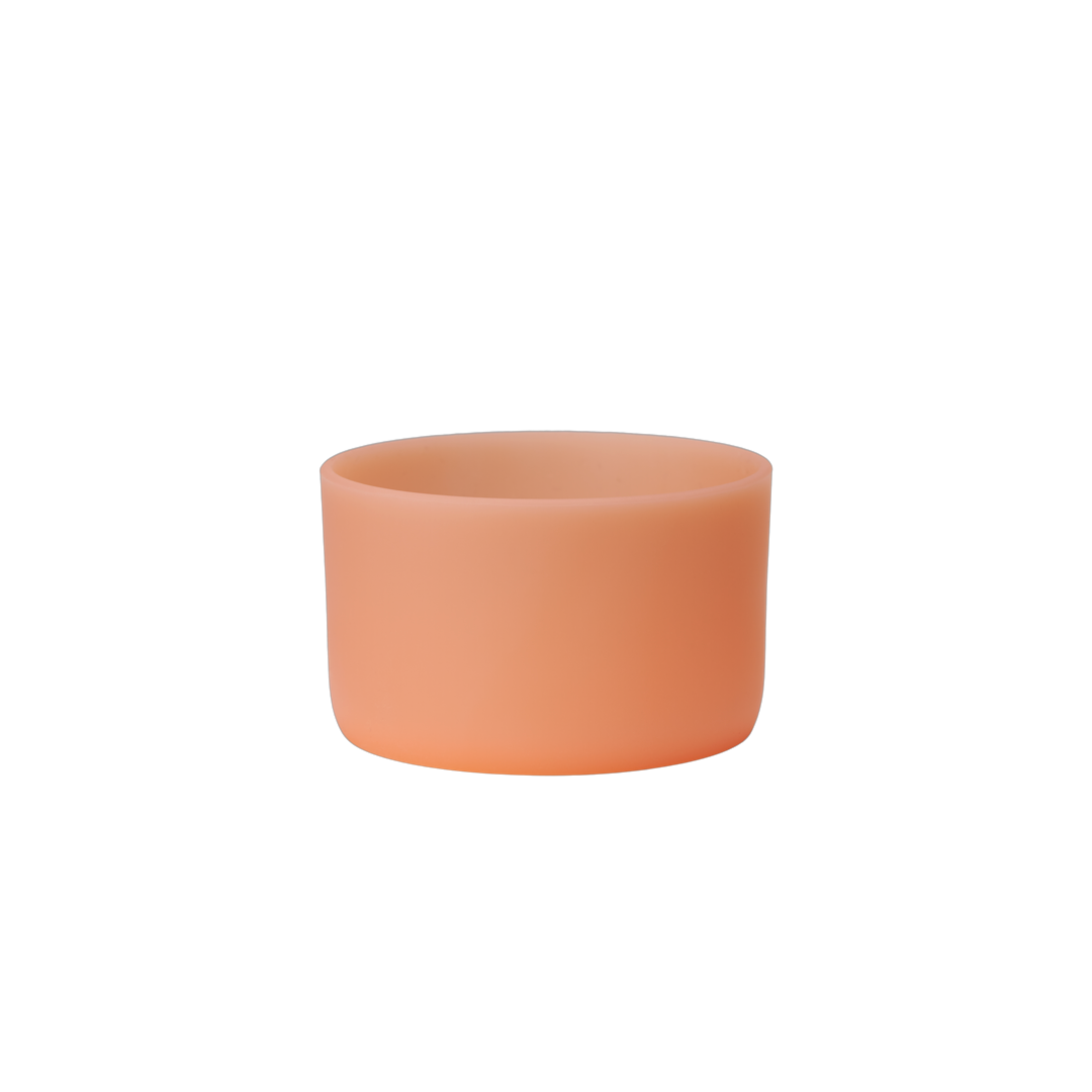 Pet  Bowl
