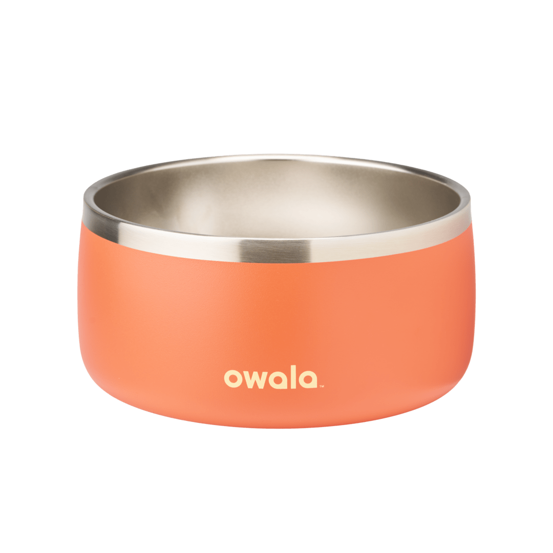 Pet  Bowl