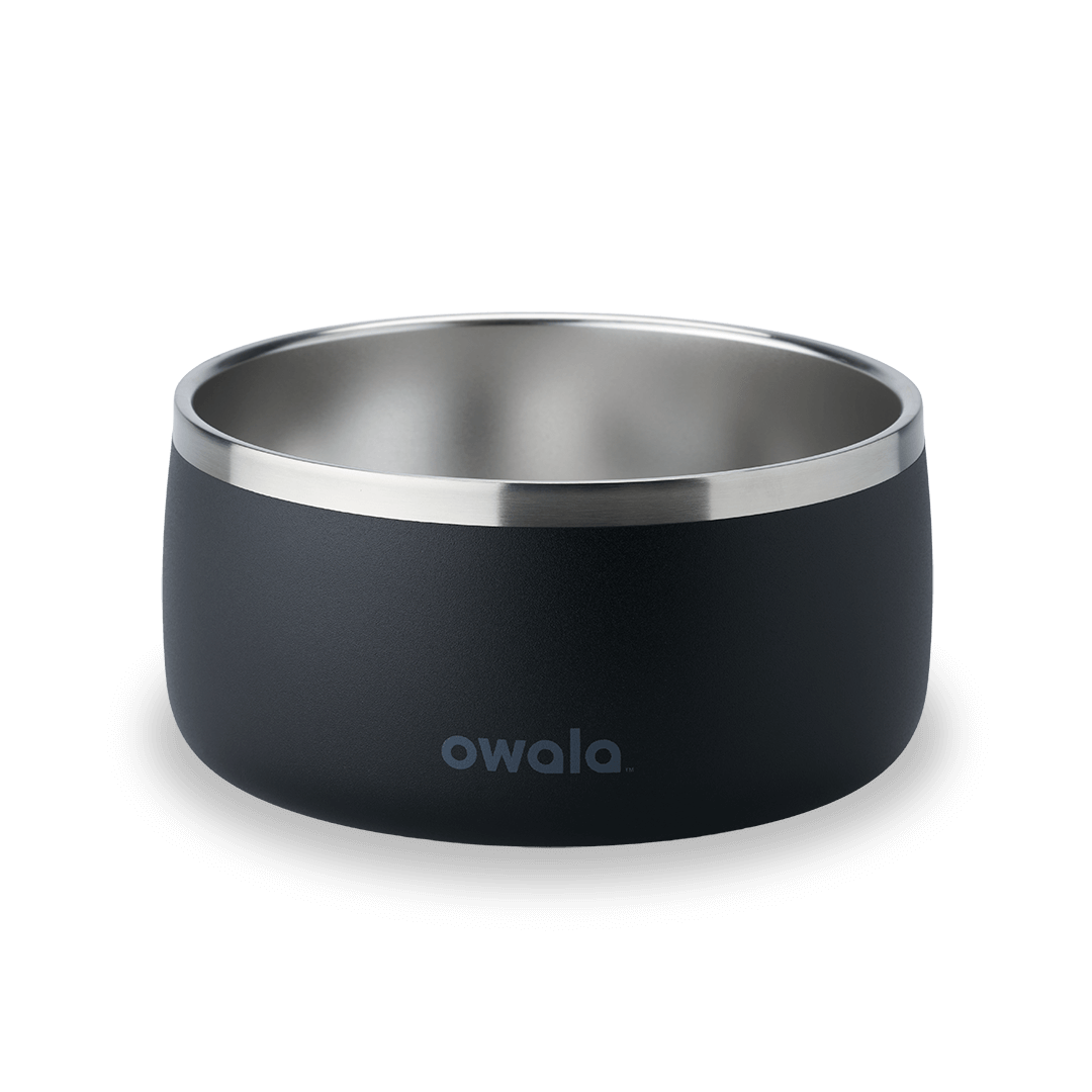 Pet  Bowl