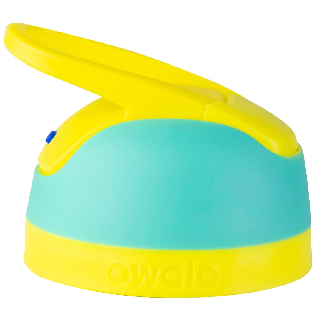 Replacement  Lids