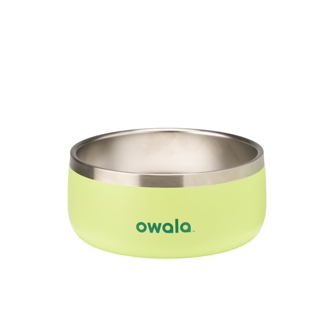 Pet  Bowl